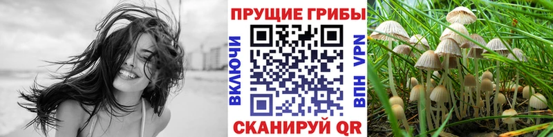 что такое наркотик Набережные Челны OMG онион Галлюциногенные грибы Psilocybine cubensis